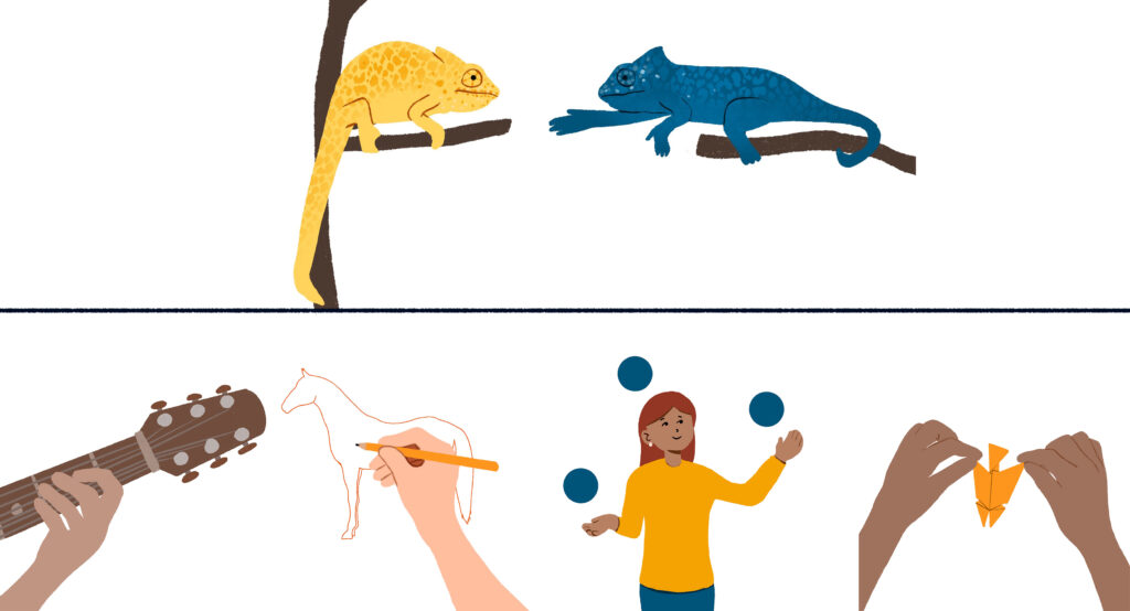 An image split into two parts. At the top, there are two chameleons facing each other on two separate branches, and one of them is taking the leap towards the other. The bottom part of the image shows four scenes of people learning new skills: playing the guitar, drawing a horse, juggling three balls, and making an origami.